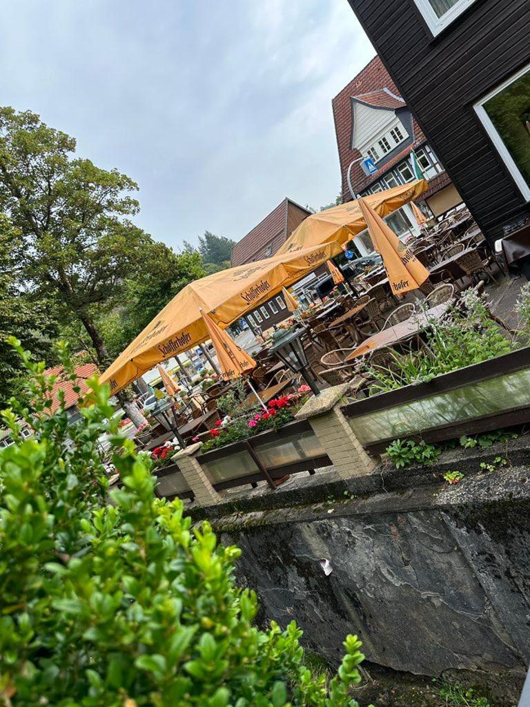 Hotel-Cafe-Restaurant Parkhaus Altenau  Zewnętrze zdjęcie